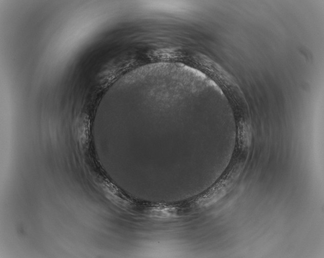 X0000111370760200908211318