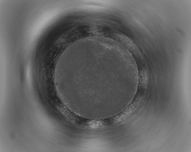 X0000111370762200908211318