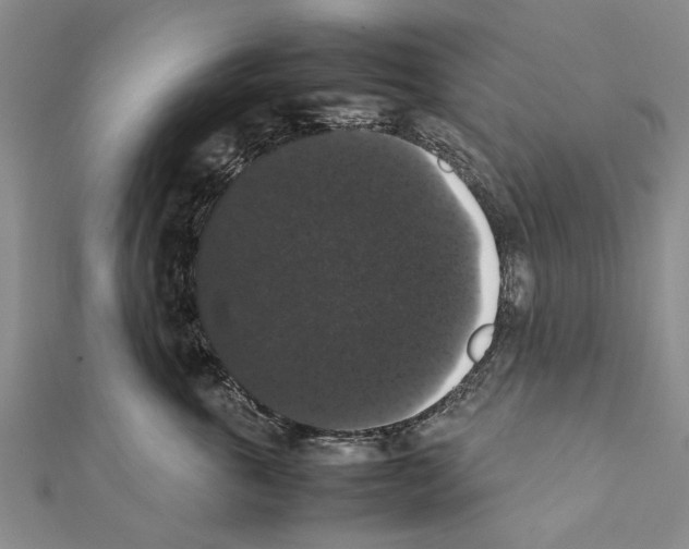 X0000111370763200908211318
