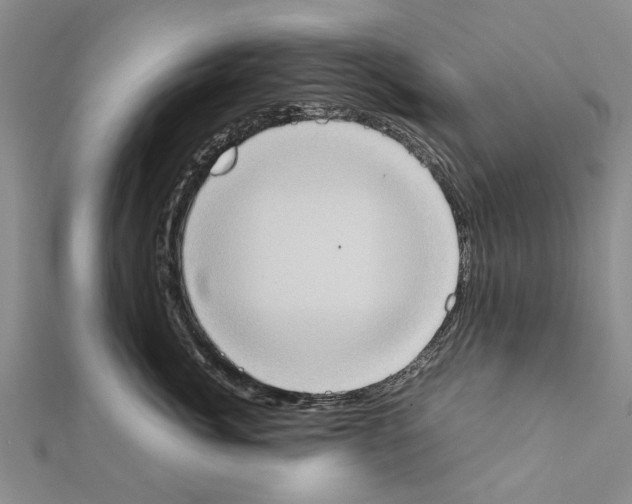 X0000111370764200908211318