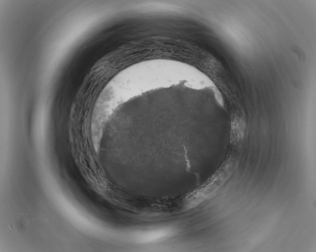 X0000111370765200908211318