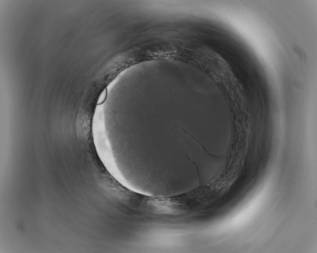 X0000111370767200908211318