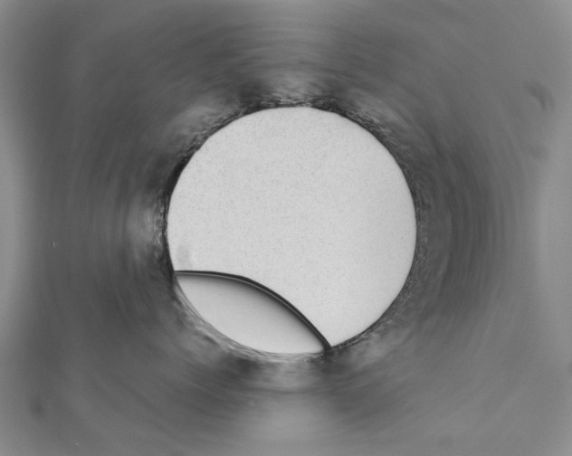 X0000111370768200908211318