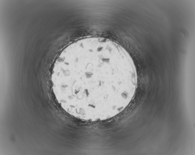 X0000111370769200908211317