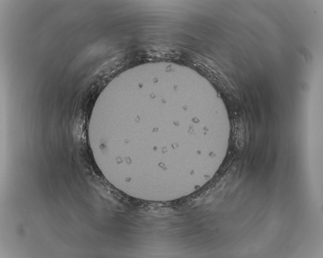 X0000111370770200908211317