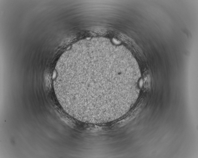 X0000111370772200908211317