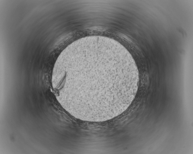 X0000111370774200908211317