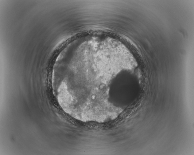X0000111370775200908211317