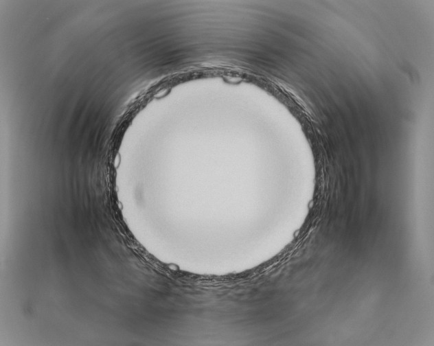 X0000111370776200908211317