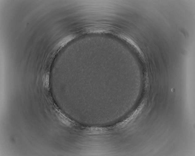 X0000111370777200908211317