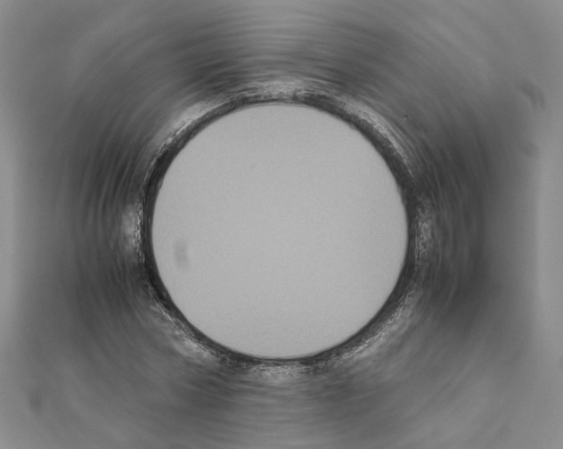X0000111370778200908211317