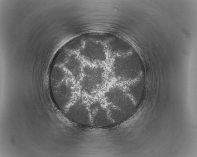 X0000111370779200908211317