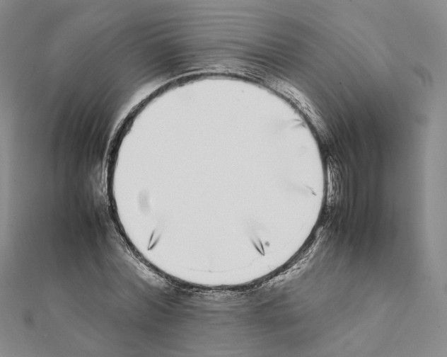 X0000111370780200908211317