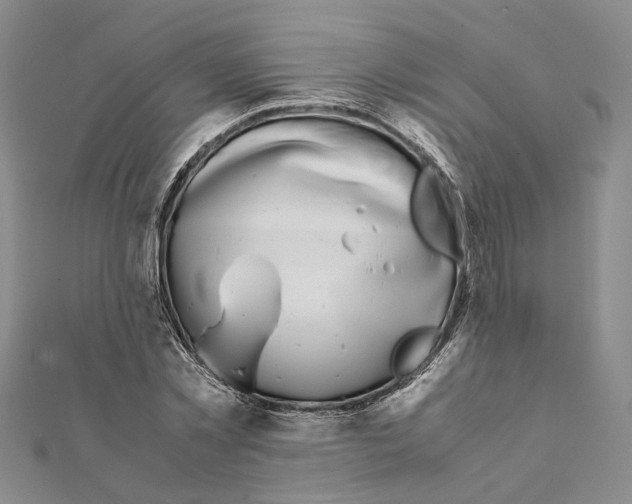 X0000111370781200908211317
