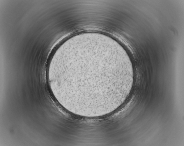 X0000111370782200908211317