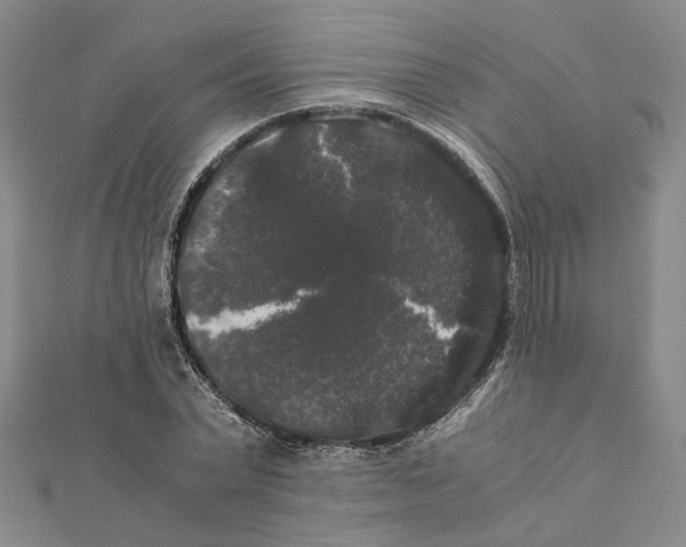 X0000111370783200908211317