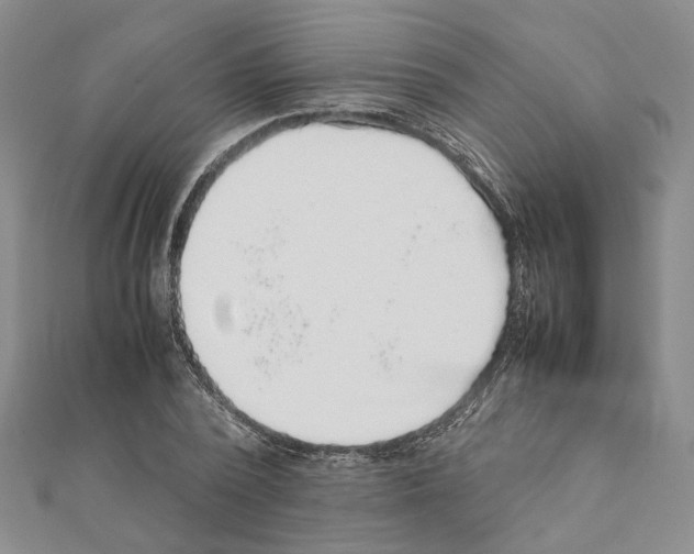 X0000111370784200908211317