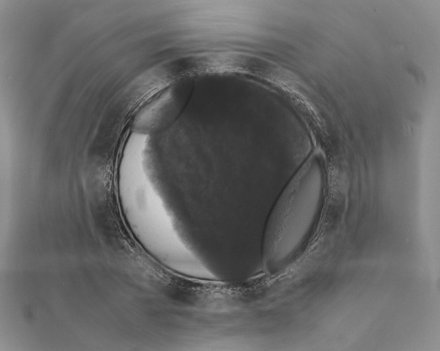 X0000111370785200908211317