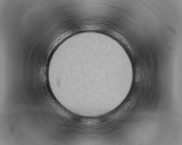 X0000111370786200908211317