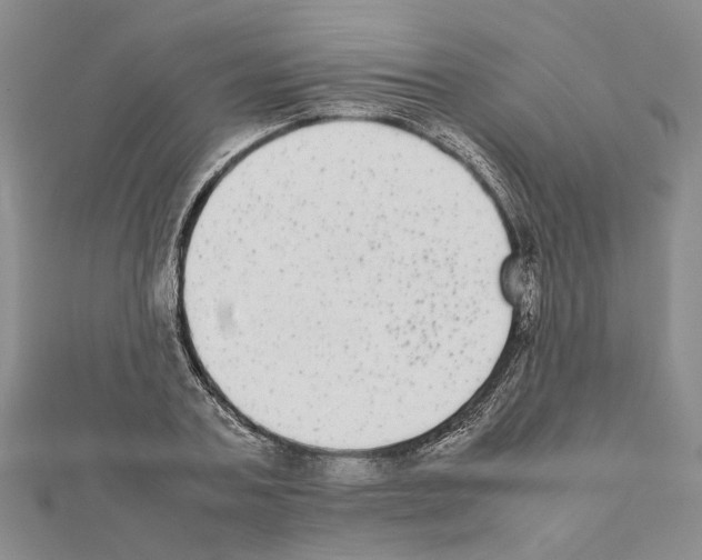 X0000111370787200908211317