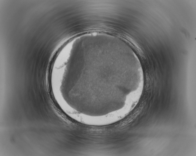 X0000111370788200908211317