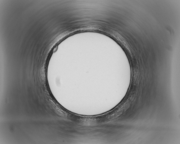 X0000111370789200908211317