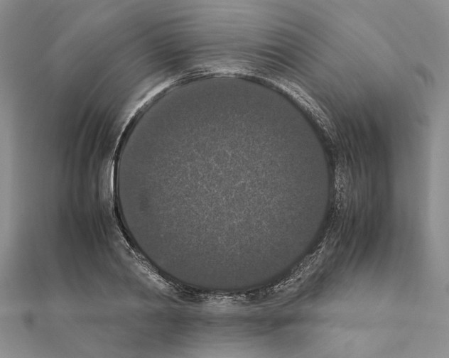 X0000111370790200908211317