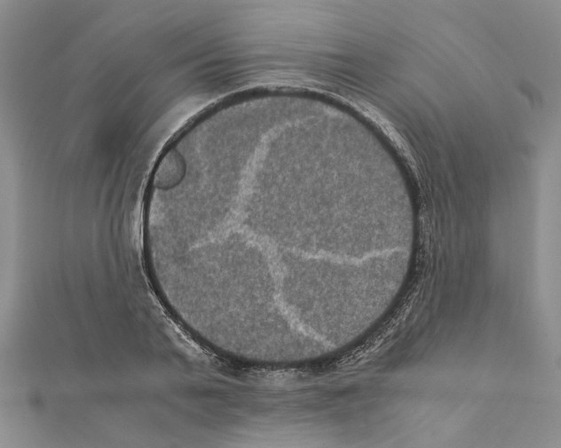 X0000111370791200908211317
