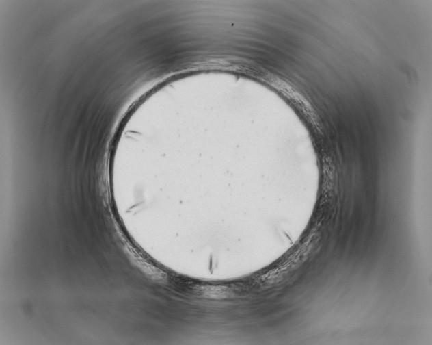 X0000111370792200908211317