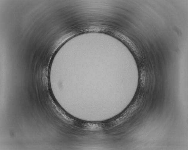 X0000111370794200908211317