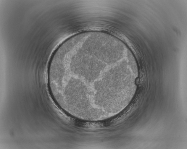 X0000111370795200908211317