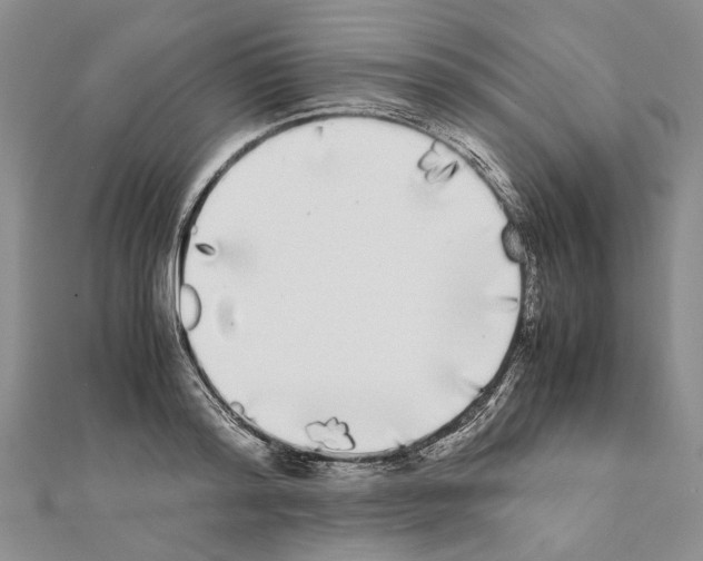 X0000111370796200908211317