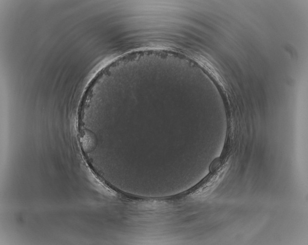 X0000111370797200908211317
