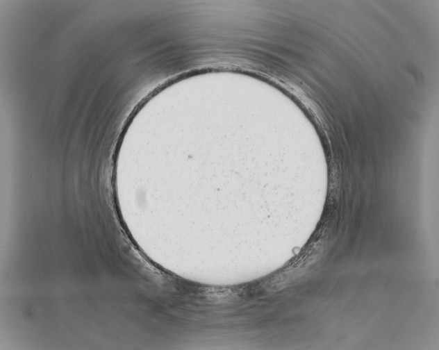 X0000111370799200908211317
