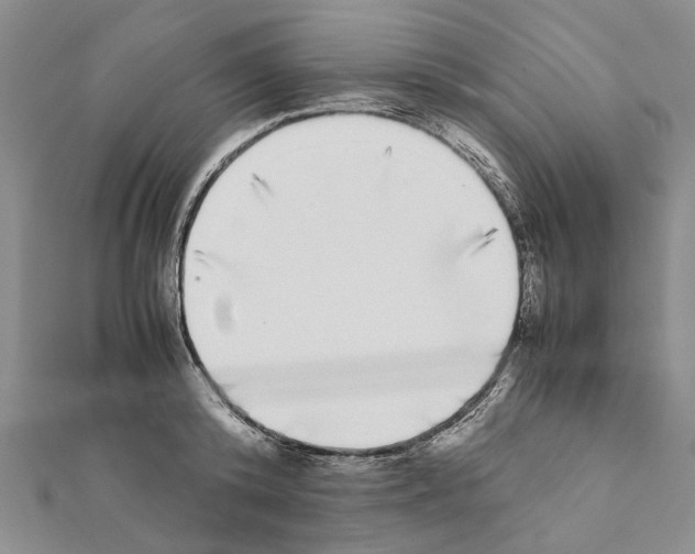 X0000111370800200908211317