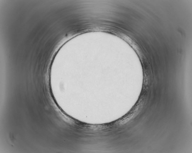X0000111370803200908211317
