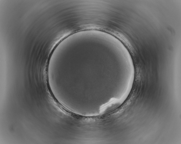 X0000111370806200908211317