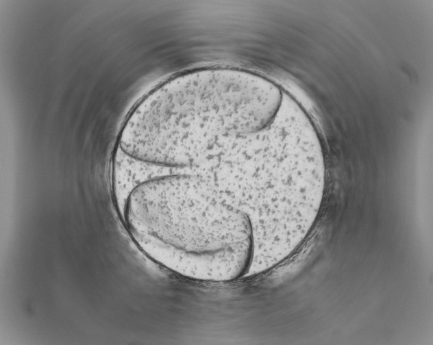 X0000111370807200908211317