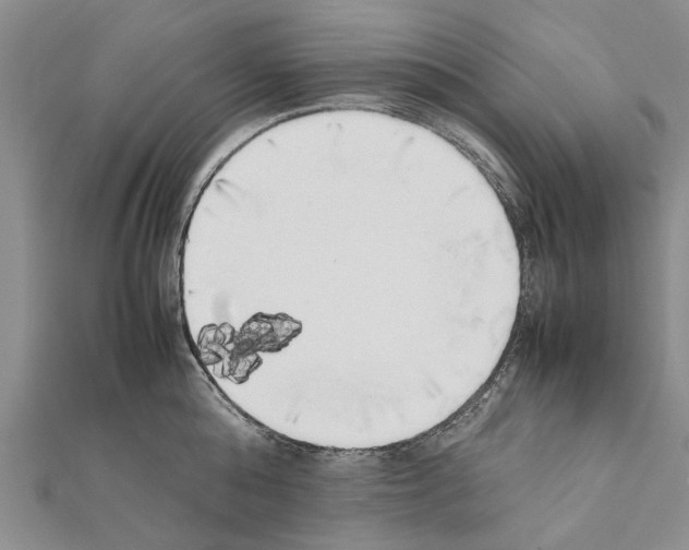 X0000111370808200908211317