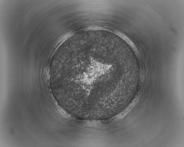X0000111370809200908211317