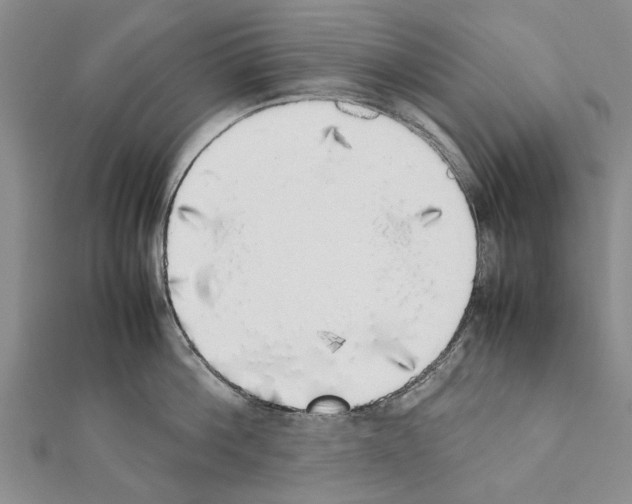 X0000111370812200908211317