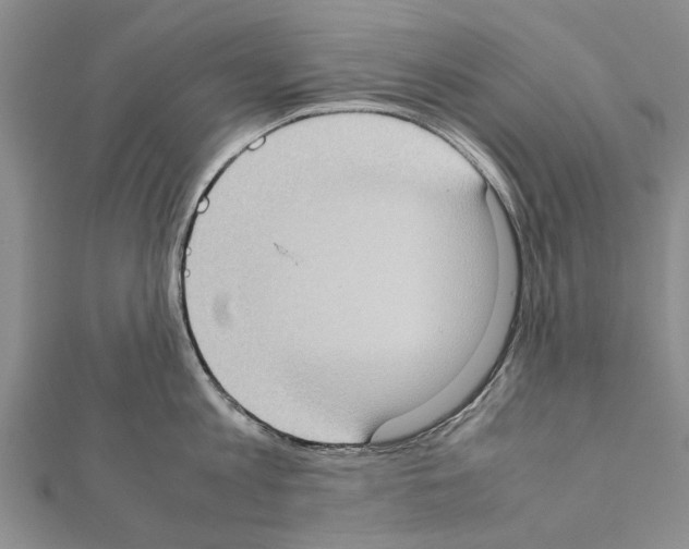X0000111370813200908211317