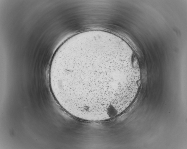 X0000111370814200908211317