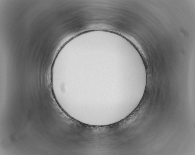 X0000111370815200908211317