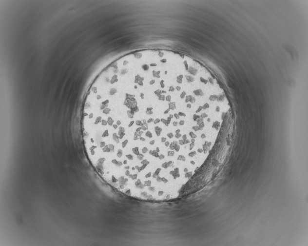 X0000111370816200908211317