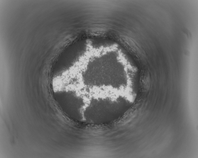 X0000111370817200908211316