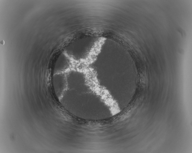 X0000111370818200908211316