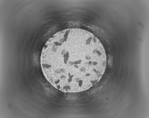 X0000111370819200908211316