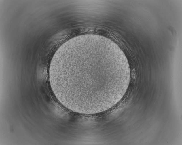 X0000111370820200908211316