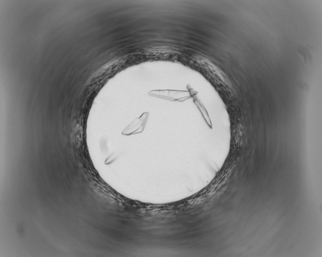 X0000111370821200908211316